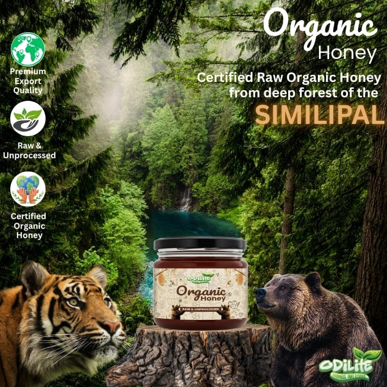 Odilite ORGANIC HONEY – image 2