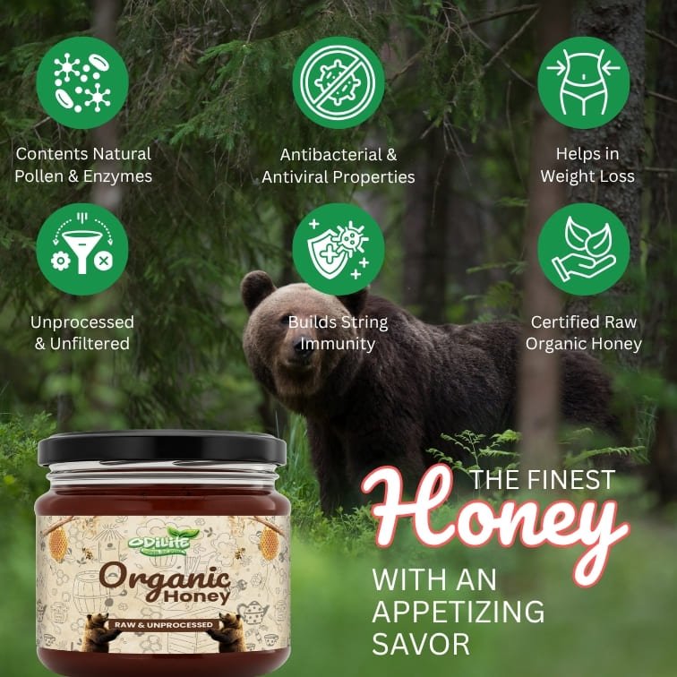 Odilite ORGANIC HONEY – image 4